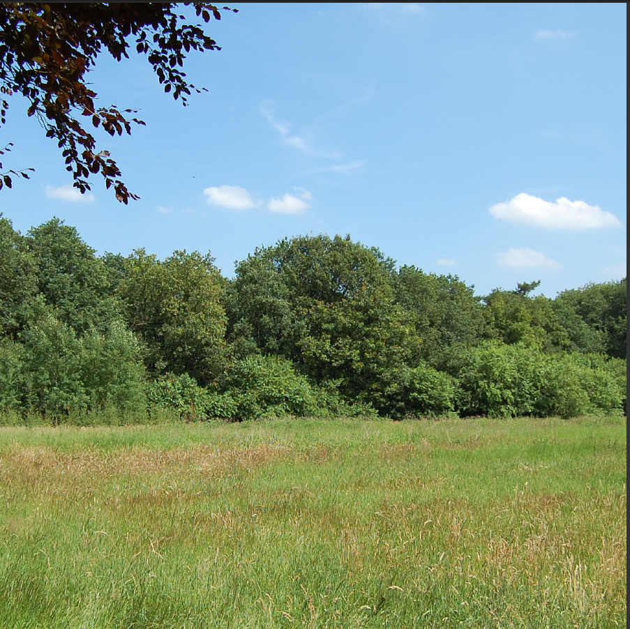 afbeelding "i_NL.IMRO.0847.BP02010008-VS01_0009.png"