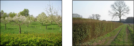 afbeelding "i_NL.IMRO.0847.BP02012006-ON01_0030.png"