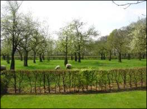 afbeelding "i_NL.IMRO.0847.BP02012006-ON01_0036.png"