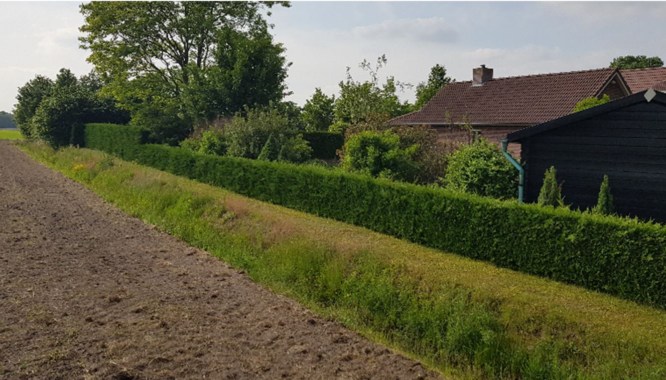 afbeelding "i_NL.IMRO.0847.BP02019001-OW01_0014.jpg"