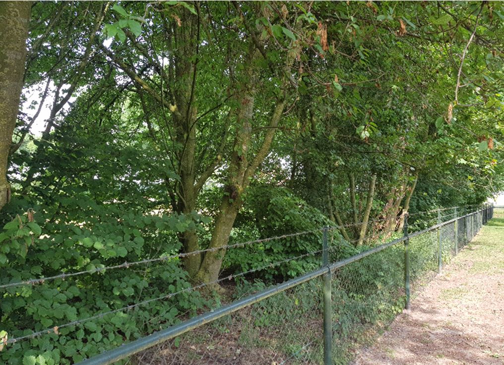 afbeelding "i_NL.IMRO.0847.BP02019001-OW01_0016.jpg"