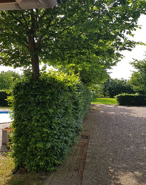 afbeelding "i_NL.IMRO.0847.BP02019001-VS01_0012.jpg"