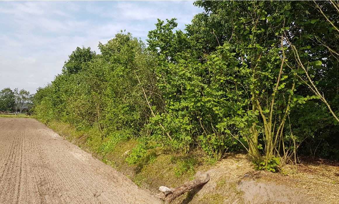 afbeelding "i_NL.IMRO.0847.BP02019001-VS01_0015.jpg"