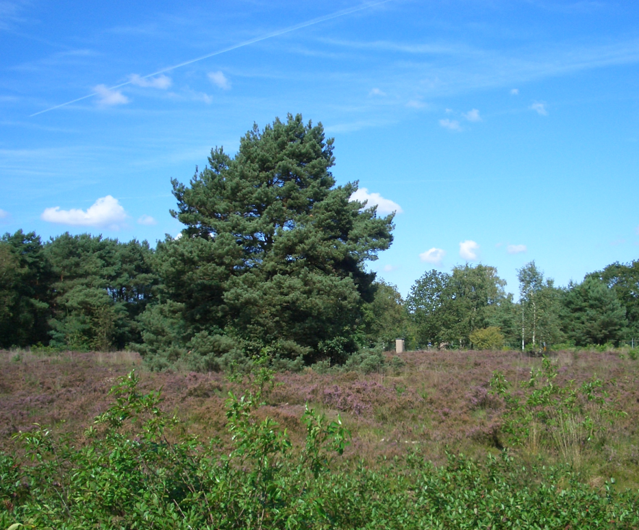 afbeelding "i_NL.IMRO.0847.BP02010023-OW01_0015.png"