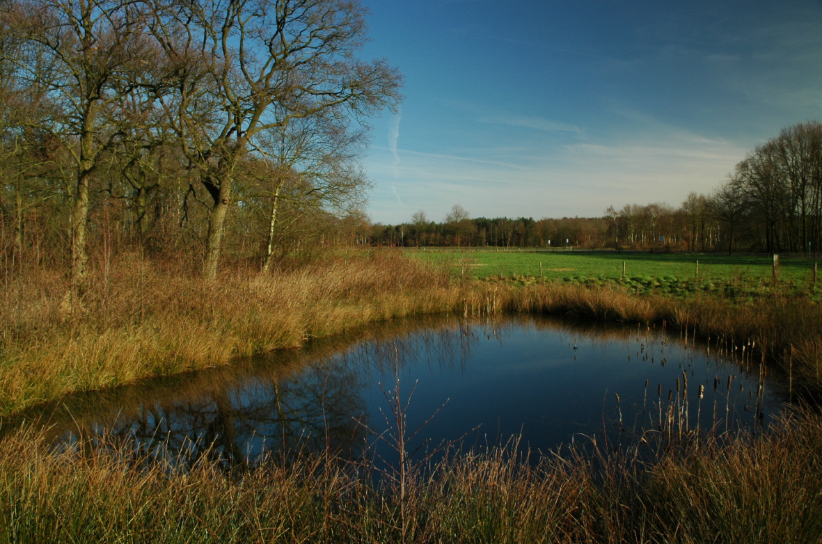 afbeelding "i_NL.IMRO.0847.BP02010023-OW01_0018.png"