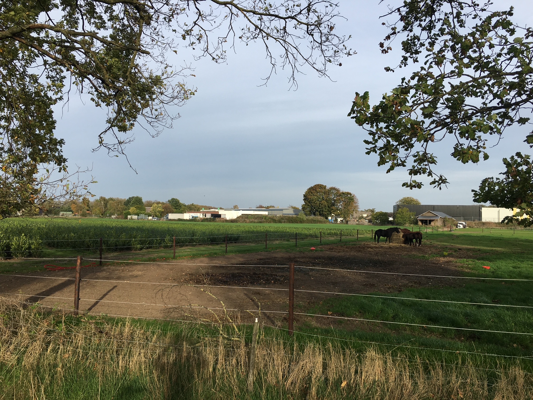 afbeelding "i_NL.IMRO.0847.BP02023014-VS01_0011.jpg"